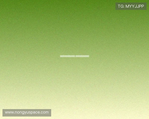 熊猫主题运动服装新品上市 展现独特风格与舒适体验